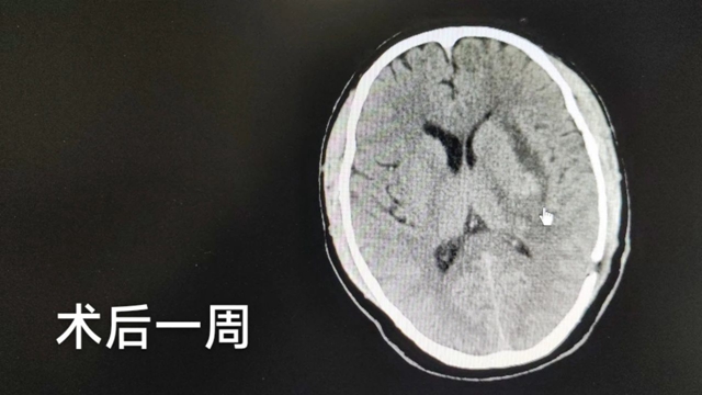 微信圖片_20240322094341.jpg