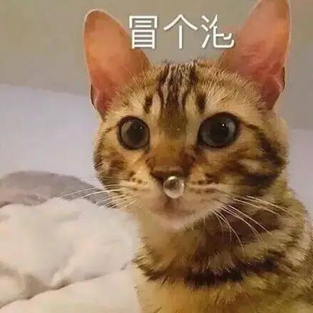 【圍觀】為什么這么臭你都聞不到……