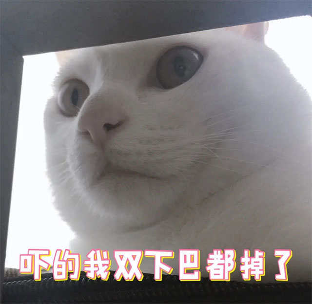 【真事】瀘州小學生下巴……掉了！