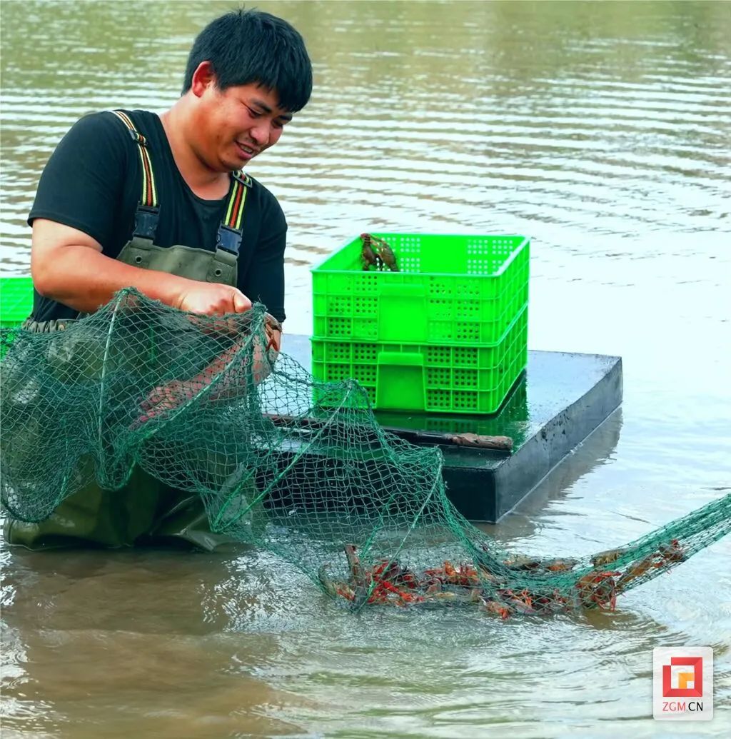 打造“魚米之鄉(xiāng)”   自貢市榮縣加快川南早蝦產(chǎn)業(yè)集群建設(shè)