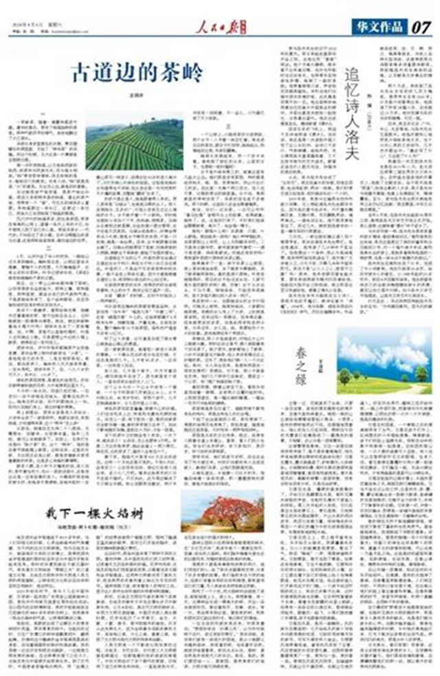 跟著《人民日報海外版》打卡瀘州：古道邊的茶嶺