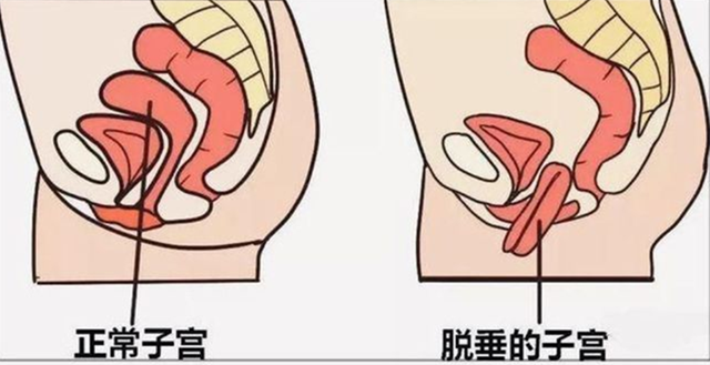 微信圖片_20240407093701.png