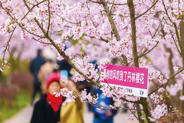 ?5條線路春夏秋冬不重樣！深度游瀘州，這才是正確打開方式→