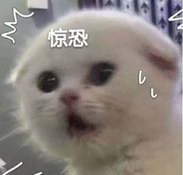 微信圖片_20240410091230.png