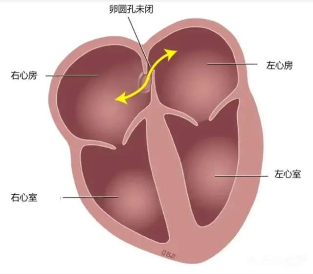微信圖片_20240410091236.png