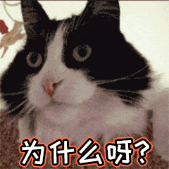 微信圖片_20240411094045.gif