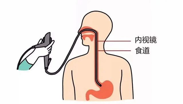 微信圖片_20240415084921.jpg