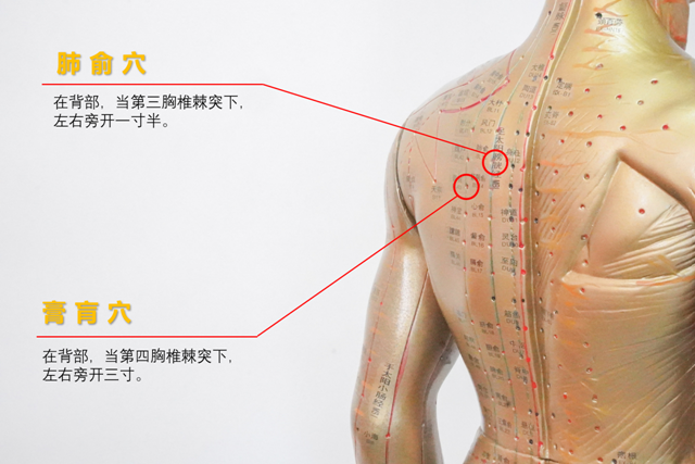 微信圖片_20240415114504.png