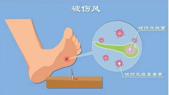 微信圖片_20240416092946.png