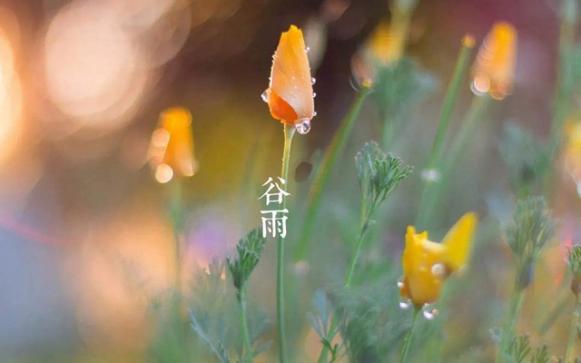 微信圖片_20240419085959.jpg