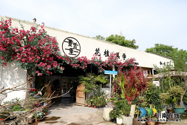 龍馬潭：創(chuàng)意咖啡廳 一杯咖啡享受舒適生活