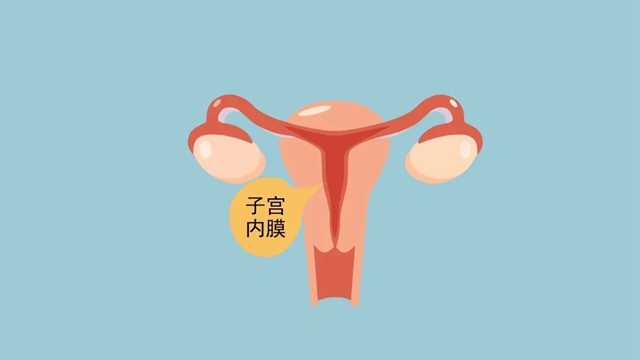 微信圖片_20240425103020.jpg
