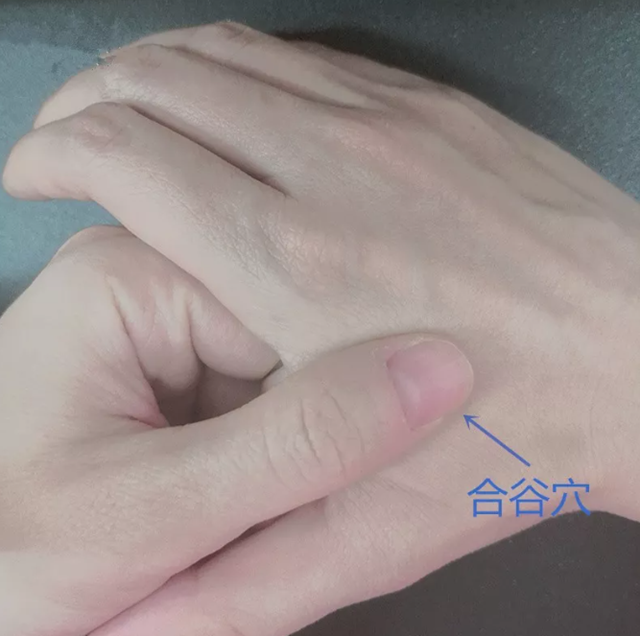 微信圖片_20240426094440.png