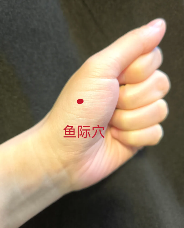 微信圖片_20240426094444.png