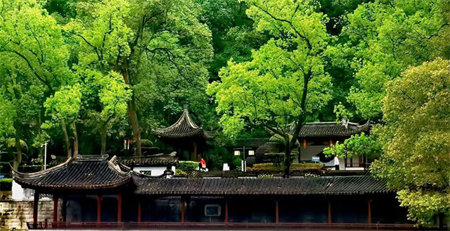 最后一天假，跟巴妹兒一起坐瀘州公交逛公園、游景區(qū)吧