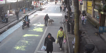 微信圖片_20240509095521.gif