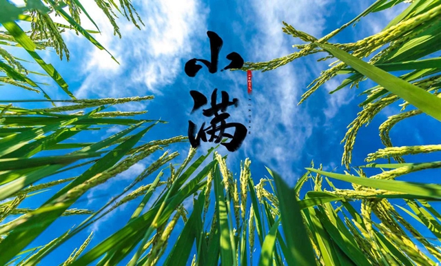 【圍觀】氣溫升！升！升！今天起，串串、火鍋要少吃！