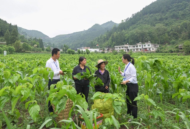 中國(guó)紀(jì)檢監(jiān)察報(bào)丨瀘州市開展農(nóng)村集體“三資”管理突出問(wèn)題專項(xiàng)整治