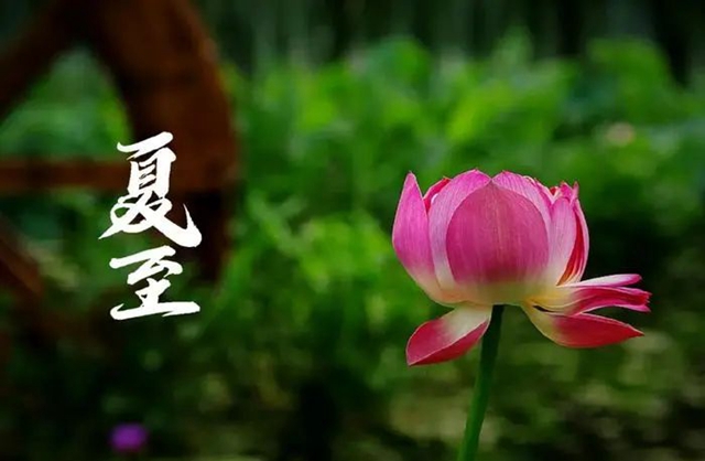 【擴(kuò)散】滿臉油光、全身黏糊糊，可能是中毒……