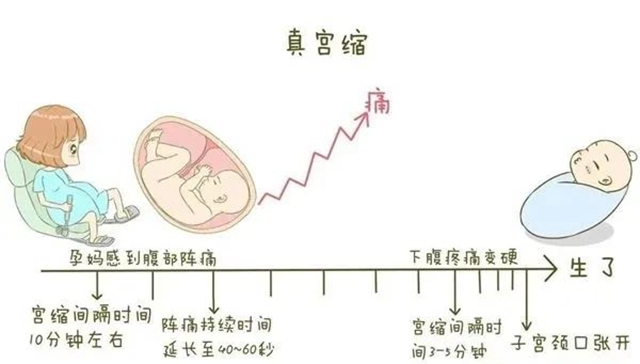 微信圖片_20240702094622.jpg