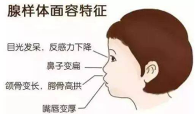 微信圖片_20240702090225.png