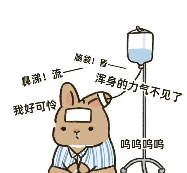 有人吊上金龜婿，有人吊上白富美，而我卻吊上鹽水