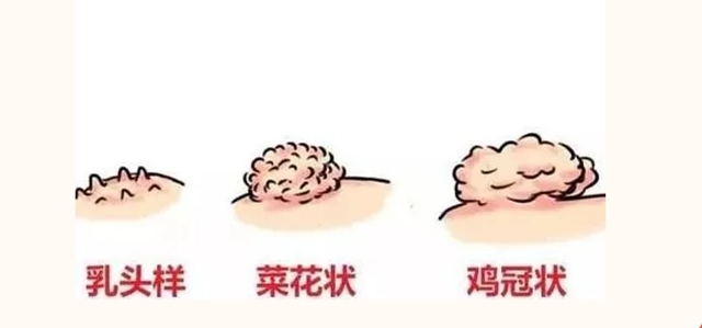 微信圖片_20240705103255.png