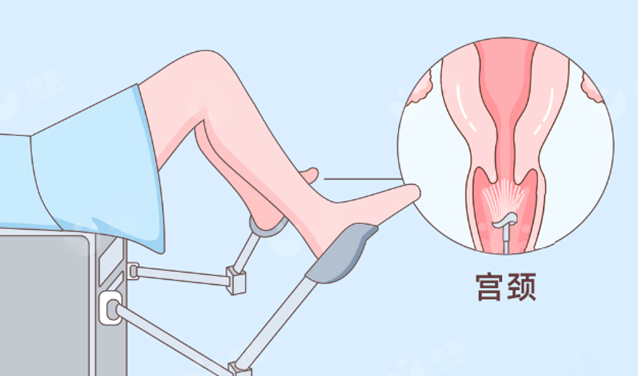 微信圖片_20240705103329.png