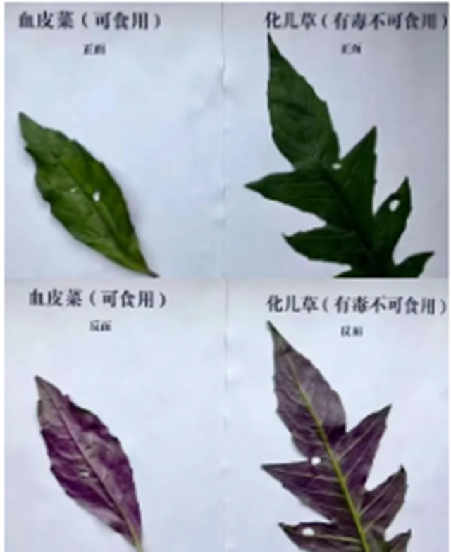 微信圖片_20240711091431.png