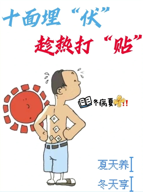 【圍觀】“三伏貼”開貼啦，還沒貼的趕緊安排上……