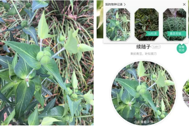 微信圖片_20240716103217.png