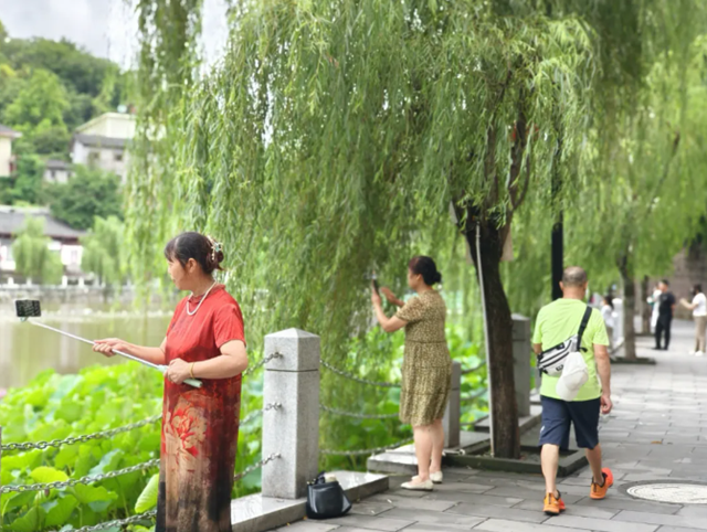 微信圖片_20240716115508.png
