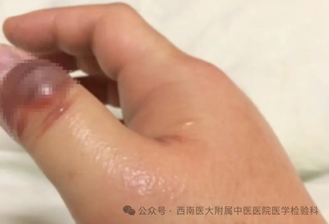 微信圖片_20240717091502.png