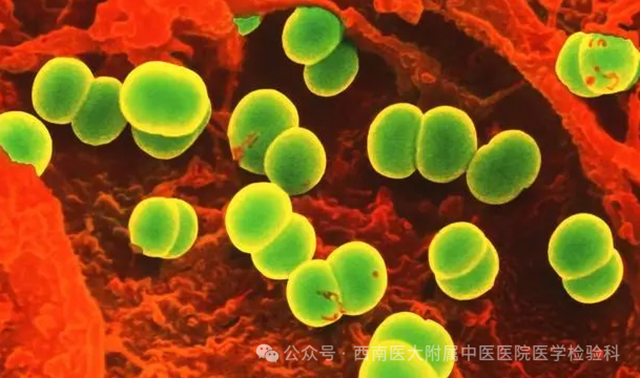 微信圖片_20240717091506.png