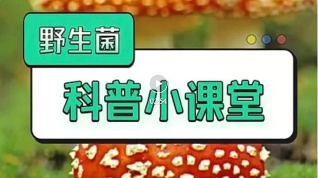 【溫馨提醒】又到吃菌季，“防毒”攻略了解一下！