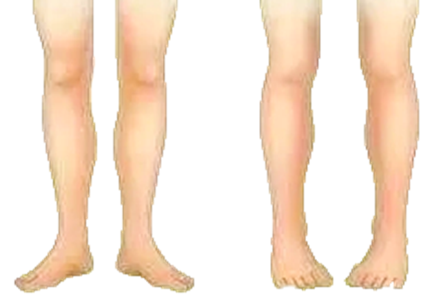 微信圖片_20240718103953.png