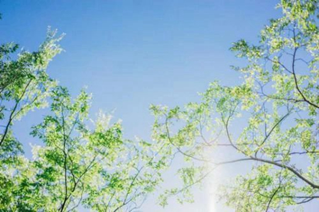 【擴(kuò)散】夏天濕氣重？四川省名中醫(yī)除濕辦法來(lái)啦