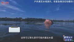 微信圖片_20240724090158.gif