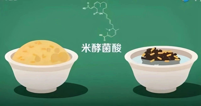 【食安科普】夏日炎炎，警惕濕米粉、木耳中的米酵菌酸毒素中毒