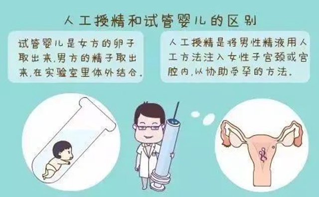 微信圖片_20240730091340.jpg