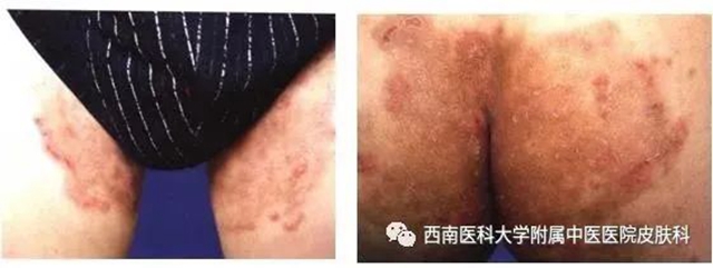 微信圖片_20240731100306.jpg