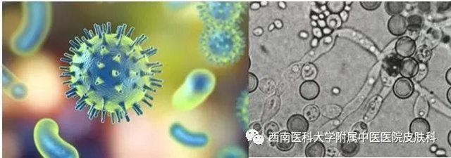 微信圖片_20240731100310.jpg