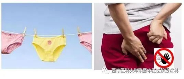 微信圖片_20240731100325.jpg