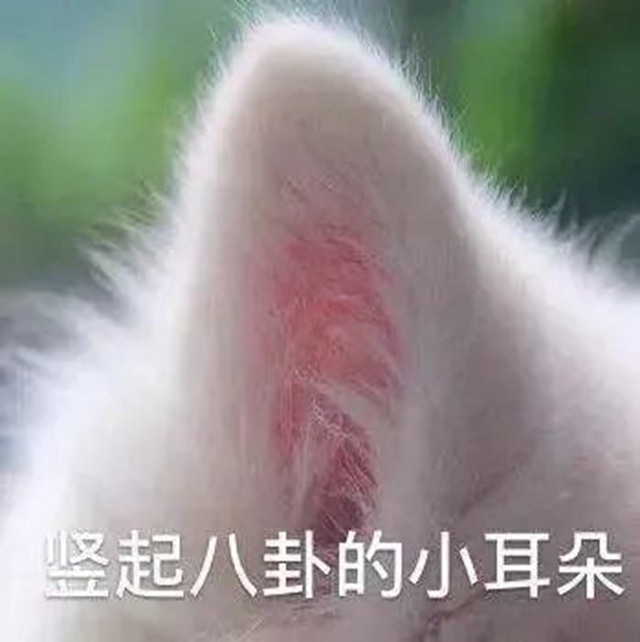 微信圖片_20240802091349.jpg