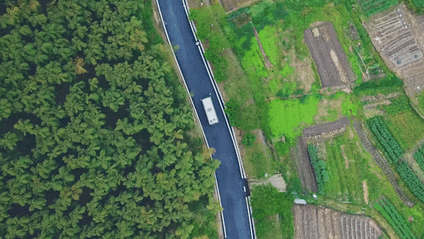 5.gif