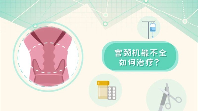 微信圖片_20240826091359.jpg