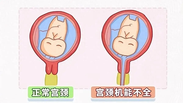 微信圖片_20240826091351.jpg