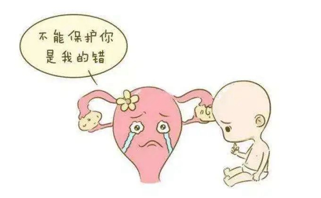 微信圖片_20240826091355.jpg