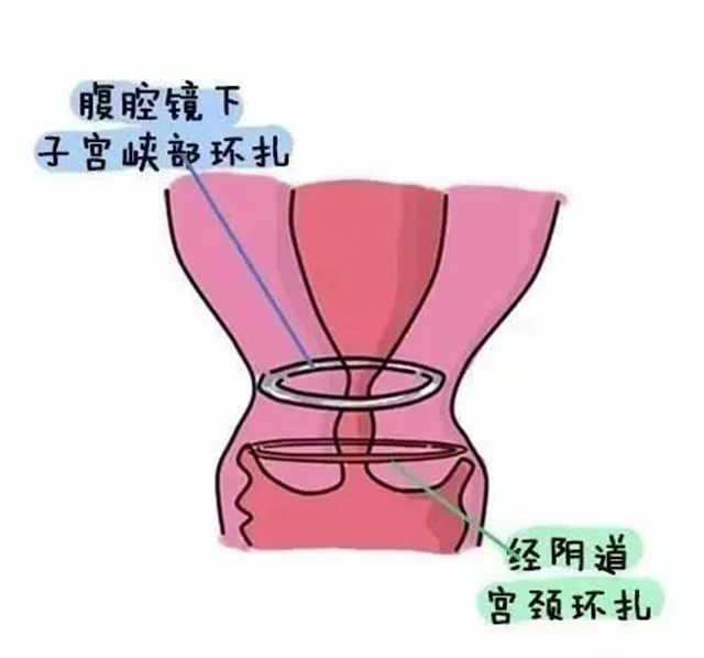 微信圖片_20240826091404.jpg