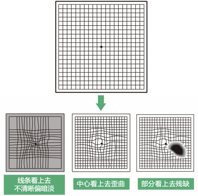 微信圖片_20240828090306.png